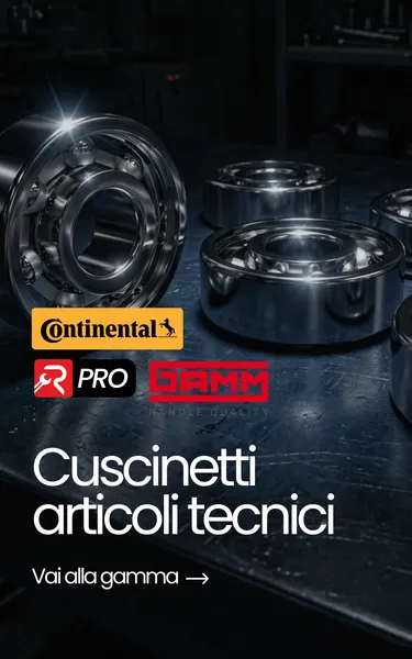 Cuscinetti e articoli tecnici
